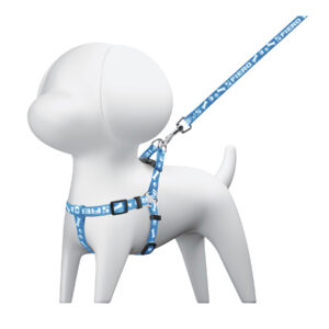 Correa con pechera para perro, 1.5 cm ancho, FIERO